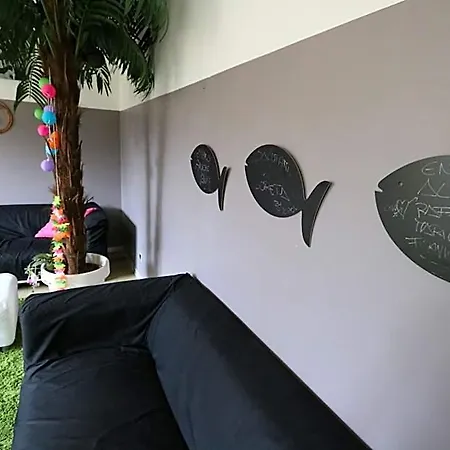 Auberge de jeunesse Panda